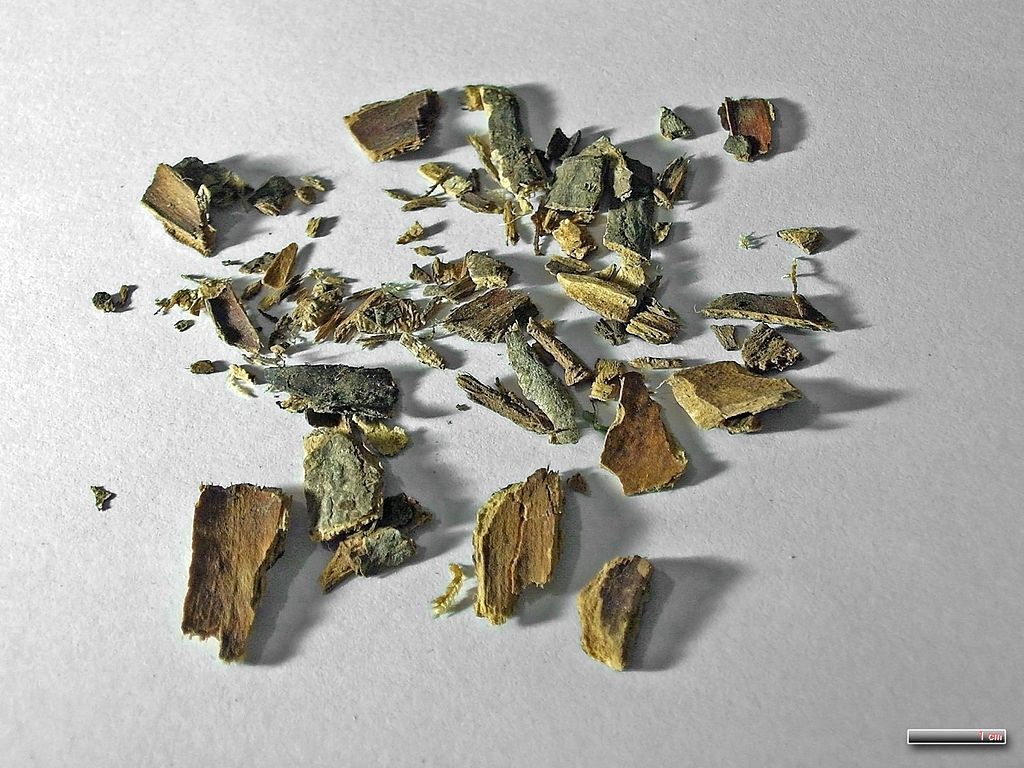 Высушенная кора каскары Высушенная кора каскары