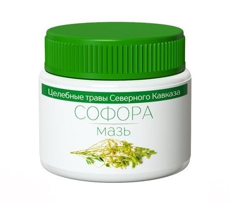 Мазь софоры японской Мазь софоры японской