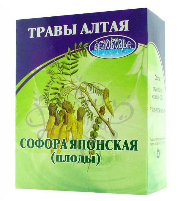 Сбор плодов софоры японской Сбор плодов софоры японской
